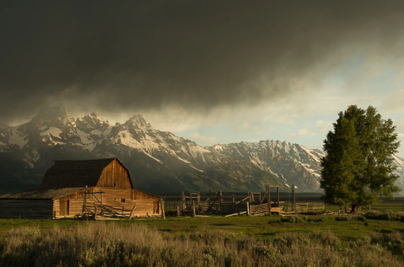 A Great Week for Jackson Hole Photography Tours