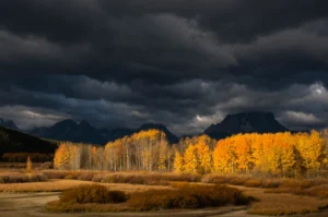 Fall in the Grand Tetons