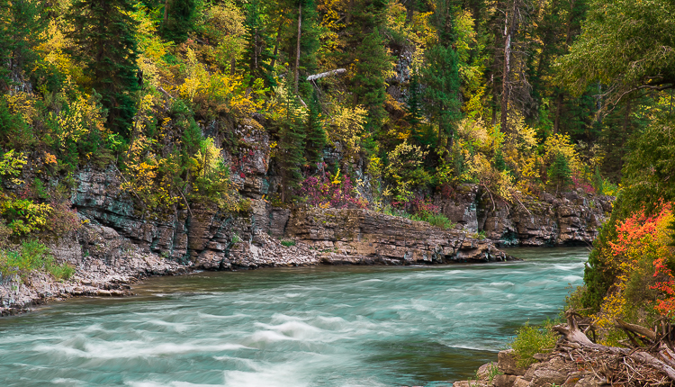 Jackson Hole Fall Colors Snake River Canyon