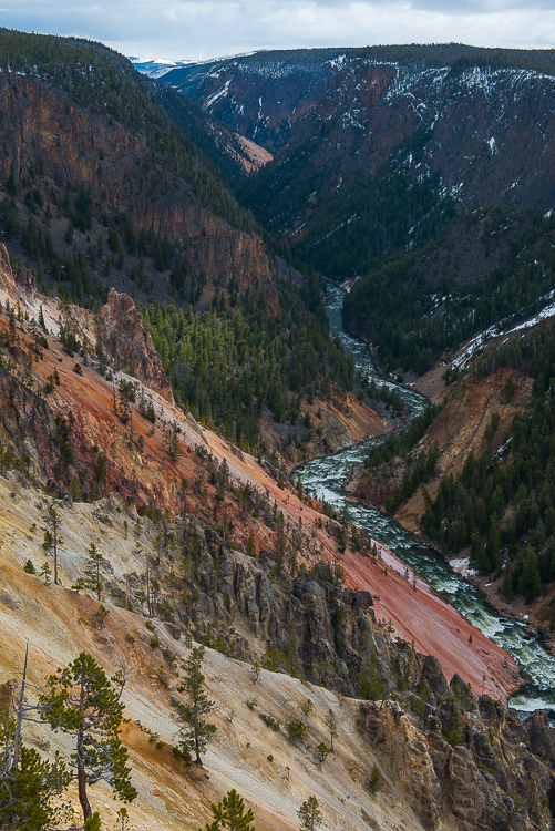 jackson hole wildlife South Entrance