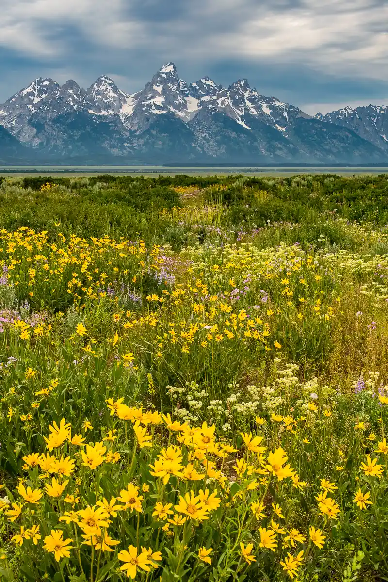 scenic view Sunrise Grand Teton Tours by alpenglow tours