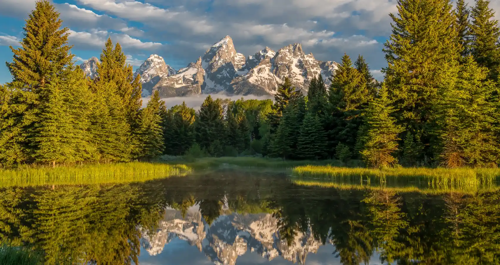 scenic tours full day grand teton wildlife