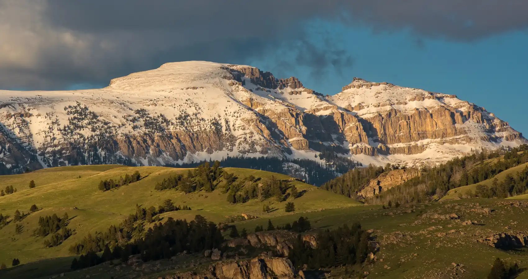 scenic tours sunset in jackson hole wildlife